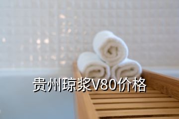 貴州瓊漿V80價(jià)格