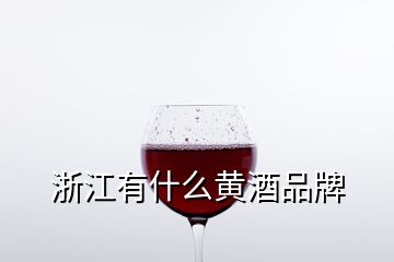 浙江有什么黃酒品牌