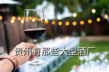 貴州有那些大型酒廠