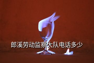 郎溪勞動監(jiān)察大隊電話多少