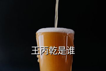 王丙乾是誰(shuí)