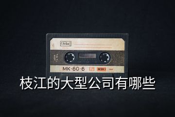 枝江的大型公司有哪些