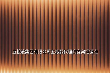 五糧液集團(tuán)有限公司五糧醇代理商宜賓經(jīng)銷點(diǎn)