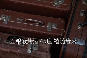 五糧液烤酒 45度 禧隨緣來(lái)