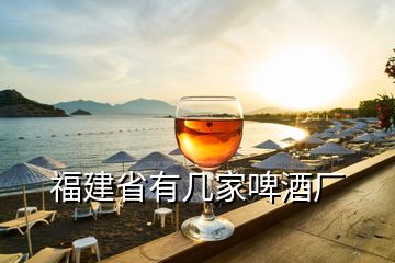 福建省有幾家啤酒廠