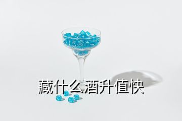 藏什么酒升值快