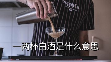 一兩杯白酒是什么意思