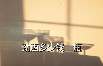 勁酒多少錢一瓶