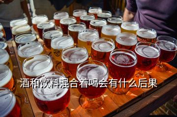 酒和飲料混合著喝會(huì)有什么后果