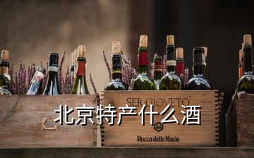 北京特產什么酒