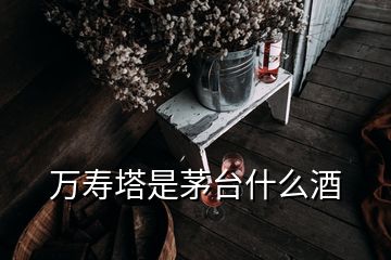 萬壽塔是茅臺(tái)什么酒