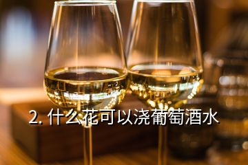 2. 什么花可以澆葡萄酒水