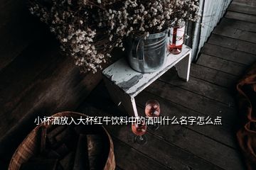 小杯酒放入大杯紅牛飲料中的酒叫什么名字怎么點(diǎn)