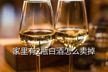 家里有2瓶白酒怎么賣(mài)掉