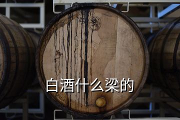 白酒什么梁的