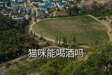 貓咪能喝酒嗎