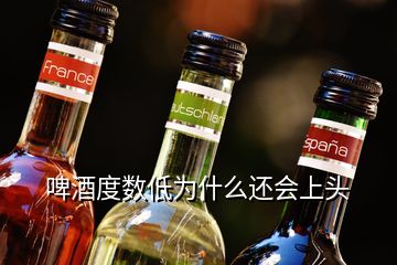 啤酒度數(shù)低為什么還會(huì)上頭