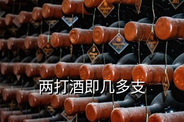 兩打酒即幾多支