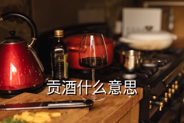 貢酒什么意思