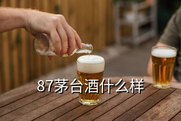 87茅臺酒什么樣