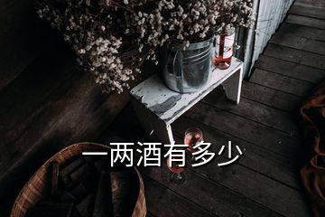 一兩酒有多少