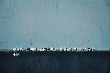 茅臺第一貴海第二請問貴海這么出名它與其他白酒有什么不同