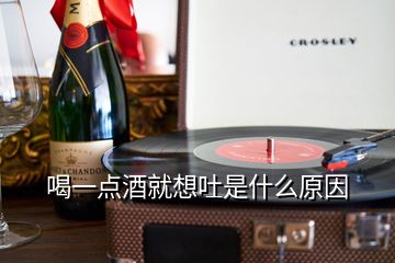 喝一點(diǎn)酒就想吐是什么原因