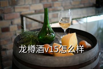 龍樽酒v15怎么樣