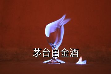 茅臺(tái)白金酒