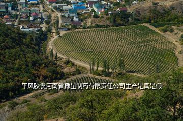 平風(fēng)膠囊河南省豫星制藥有限責(zé)任公司生產(chǎn)是真是假