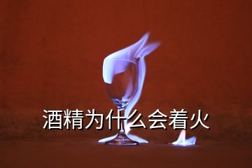 酒精為什么會(huì)著火