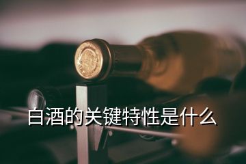 白酒的關(guān)鍵特性是什么