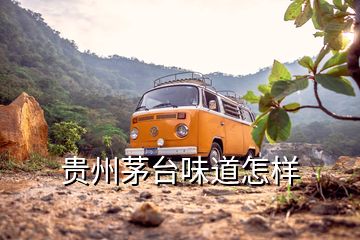 貴州茅臺味道怎樣