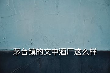 茅臺鎮(zhèn)的文中酒廠這么樣