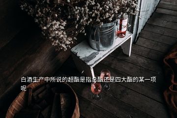 白酒生產(chǎn)中所說的超酯是指總酯還是四大酯的某一項呢