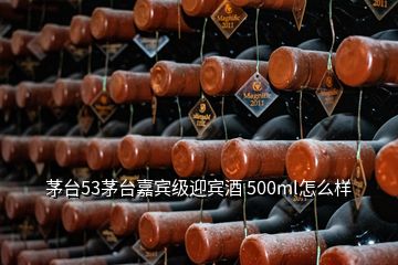 茅臺(tái)53茅臺(tái)嘉賓級(jí)迎賓酒 500ml怎么樣