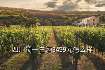 四川蜀一白酒3499元怎么樣