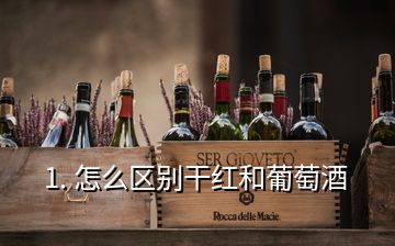 1. 怎么區(qū)別干紅和葡萄酒