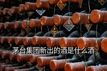 茅臺(tái)集團(tuán)新出的酒是什么酒