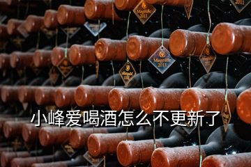 小峰愛喝酒怎么不更新了