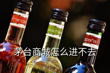 茅臺商城怎么進不去