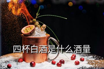 四杯白酒是什么酒量