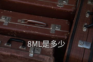 8ML是多少