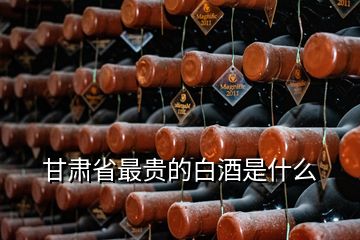 甘肅省最貴的白酒是什么