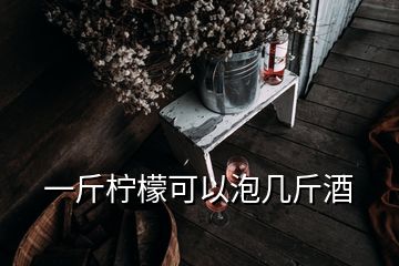 一斤檸檬可以泡幾斤酒