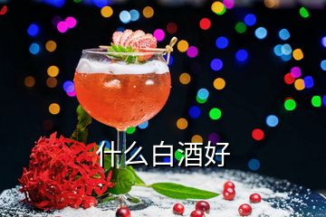 什么白酒好