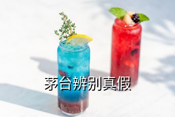 茅臺辨別真假