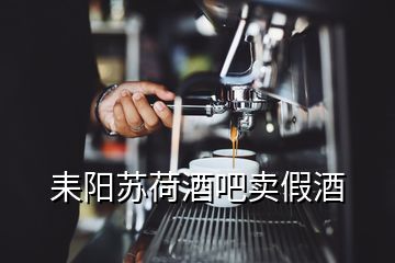 耒陽(yáng)蘇荷酒吧賣假酒