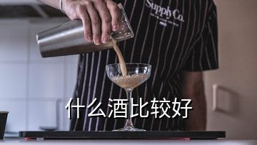 什么酒比較好