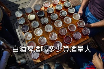 白酒啤酒喝多少算酒量大